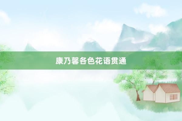 康乃馨各色花语贯通